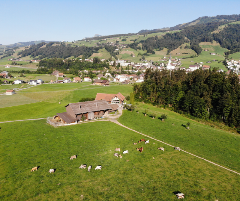 Betriebe vo Buur zo Buur